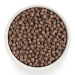 Grandorf Dog, Turkey & Brown Rice, Adult Mini Breed, 3 kg - crochete