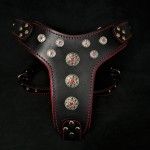 Bestia Ham Bijou, Piele Naturala, M: 50-75 cm, Negru/ Rosu (Hamuri)