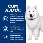 Hill's Prescription Diet Canine k/d+ Kidney Mobility, 354 g - ajuta