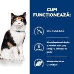 Hill's Prescription Diet Feline y/d Thyroid Care, 3 kg - functioneaza