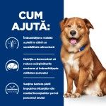 Hill's Prescription Diet Canine Derm Complete, 4 kg - ajuta