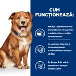 Hill's Prescription Diet Canine Derm Complete, 4 kg - functioneaza