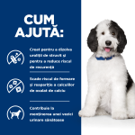 PD CANINE C/D CHK & VG STEW 156 G - ajuta