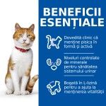 Hill's Science Plan Feline Sterilised Adult Pastrav, 85 g - beneficii