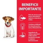 Hill's Science Plan Canine Puppy Small and Mini Chicken, 1.5 kg - beneficii