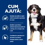 Hill's Prescription Diet Canine Metabolic + Mobility, 370 g - ajuta