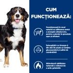 Hill's Prescription Diet Canine Metabolic + Mobility, 370 g - functioneaza