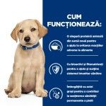 Hill's Prescription Diet Canine Puppy Derm Complete, 1.5 kg - functioneaza