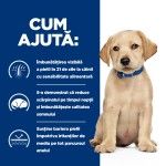 Hill's Prescription Diet Canine Puppy Derm Complete, 12 kg - ajuta
