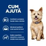 Hill's Prescription Diet Canine k/d Kidney Care, 200 g - ajuta