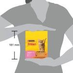 FRISKIES Pisica Junior, Pui, Lapte si Legume, 300 g (Hrana Uscata - Pisici)