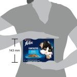 Felix Fantastic Ton, Somon, Cod, Peste Cambula in Aspic, 12 x 85 g (Hrana Umeda - Pisici)