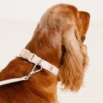 Lesa ultra-usoara din policoton Doctor Totolici, culoare Oat Milk (Lese)