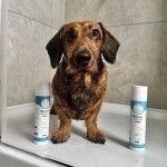 Balsam natural caini Doctor Totolici, 250 ml (Sampoane)