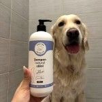 Sampon natural câini Doctor Totolici, 500 ml (Sampoane)