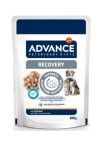 Advance Veterinary Diets Dog & Cat Recovery, 11x100 g (Diete Veterinare - Caini)
