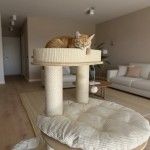 Ansamblu de joaca pisici, Meraki Home, Ivory Loft Tower, 69 x 69 x 161 cm