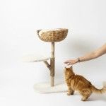 Ansamblu de joaca pisici, Meraki Home, Single Nest, 60 x 40 x 88 cm