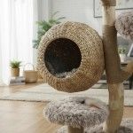 Ansamblu de joaca pisici, Meraki Home, Woodland Cocoon, 59 x 59 x 133 cm