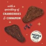 Lily's Kitchen Festive Turkey Jerky for Dogs, 70 g (Delicii - Caini)