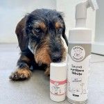 Balsam solid/ stick labute si nas Doctor Totolici, 30 ml (Igiena - Caini)