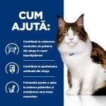 Hill's PD Feline W/D Minced Chicken, 156 g - ajuta
