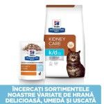 Hill's PD Feline K/D Early Stage Chicken, 85 g (Plic) - gama