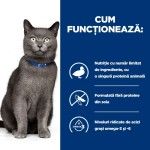 Hill's PD Feline D/D Duck & Pea, 3 kg - functioneaza