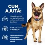 Hill's PD Canine GI Biome, 4 kg - ajuta