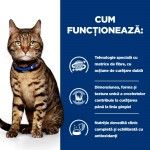 Hill's PD Feline T/D, 3 kg - functioneaza