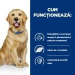 Hill's PD Canine J/D, 4 kg - functioneaza
