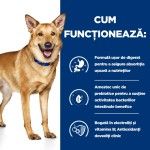 Hill's PD Canine I/D, 16 kg - functioneaza