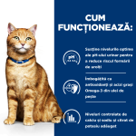 Hill's PD Feline C/D Chicken, 3 kg - functioneaza