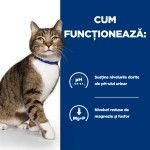 Hill's PD Feline S/D, 3 kg - functioneaza