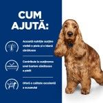 Hill's PD Canine z/d Food Sensitivities, 3 kg - ajuta