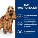 Hill's PD Canine z/d Food Sensitivities, 3 kg - functioneaza
