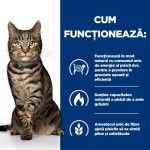 Hill's PD Feline Metabolic, 3 kg - functioneaza