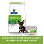Hill's PD Canine Metabolic Mini, 3 kg - gama