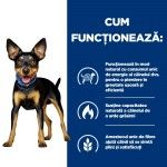 Hill's PD Canine Metabolic Mini, 3 kg - functioneaza