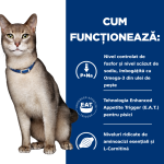 Hill's PD Feline K/D, 8 kg - functioneaza