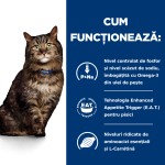 Hill's PD Feline K/D Early Stage, 3 kg - functioneaza