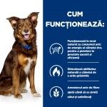 Hill's PD Canine Metabolic L&R, 1.5 kg - functioneaza