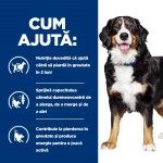 Hill's PD Canine Metabolic Plus Mobility, 4 kg - ajuta