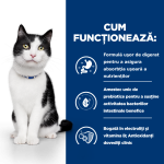 Hill's PD Feline I/D, 400 g - functioneaza