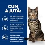 Hill's PD Feline Metabolic, 8 kg - ajuta