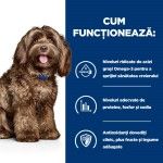Hill's PD Canine B/D, 3 kg - functioneaza