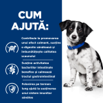 Hill's PD Canine i/d Stress Mini Digestive Care, 1 kg - ajuta