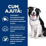 Hill's PD Canine T/D, 10 kg - ajuta