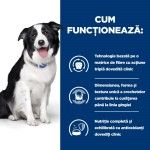 Hill's PD Canine T/D, 10 kg - functioneaza