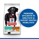 Hill's SP Canine Adult Perfect Weight & Active Mobility Large Breed Chicken, 12 kg - suport